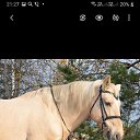 ���� �arika, ������, 55 ��� - ��������� 27 ������� 2020 � ������ ���� ����������