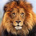 ���� ������, ���������, 61 ��� - ��������� 8 ������� 2020 � ������ ���� ����������