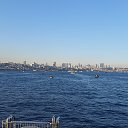 ���� �������, ������ ��������, 54 ���� - ��������� 4 ������� 2020 � ������ ������ 2019�