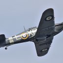 ���� Tom, �����������, 51 ��� - ��������� 1 ������ 2021 � ������ ���� ����������