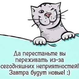 ������, ���������, 44 ����