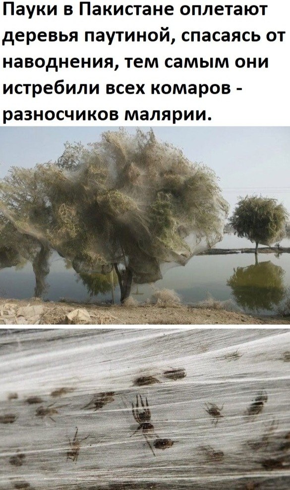 BEST | , ,  - 12  2020  19:07