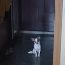 ���� ������, �����-��������� - ��������� 24 �������� 2020 � ������ ������ ��������