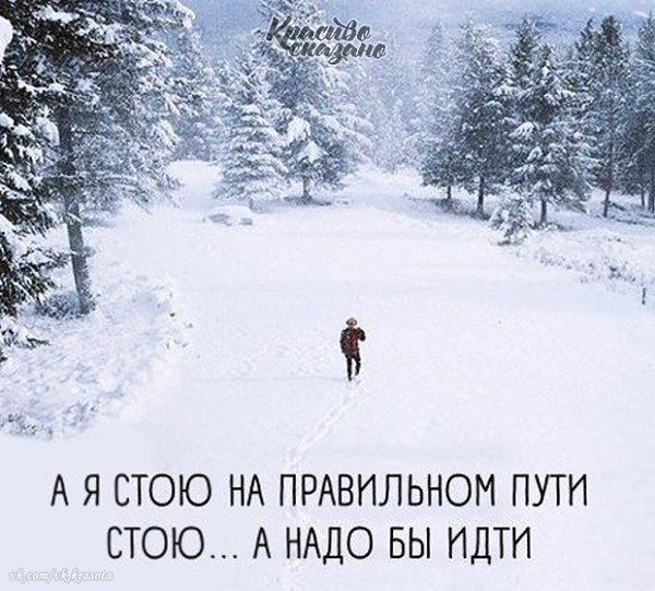 ������� ������� . . . - 19 ������ 2021 � 12:38