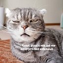 ���� �����, ������, 64 ���� - ��������� 25 ������� 2020 � ������ ������ ��������