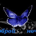 ���� �������, ����� - ��������� 22 ������� 2020 � ������ ���� ����������