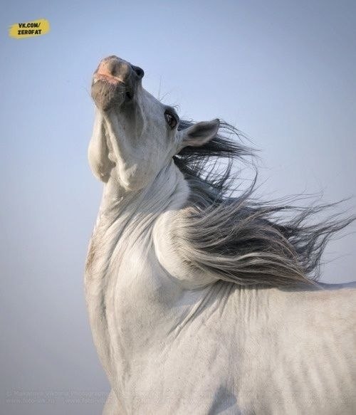 oa  c  p o ap !....  ae e - 7