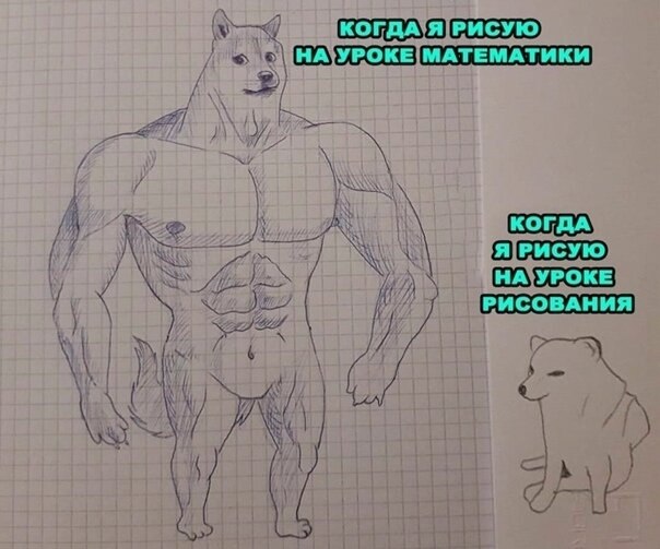 ☆   ☆ - 3  2021  22:39