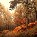 ���� ���������, �����, 64 ���� - ��������� 10 ������� 2020 � ������ ������ ��������