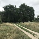 � ������ �� ������� �������� ����������� �� �����-������������� ��������� ������ 2020�