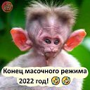 ���� �������, �������, 65 ��� - ��������� 19 ������� 2021 � ������ ������ ��������