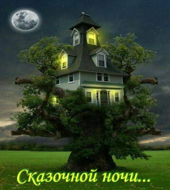   ,    . - 6  2020  21:36