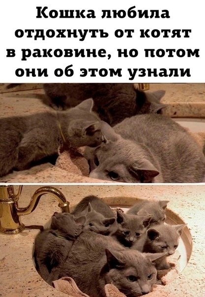 Bo� ��o ��a��� ���� �a�o�.��e� ��� �����