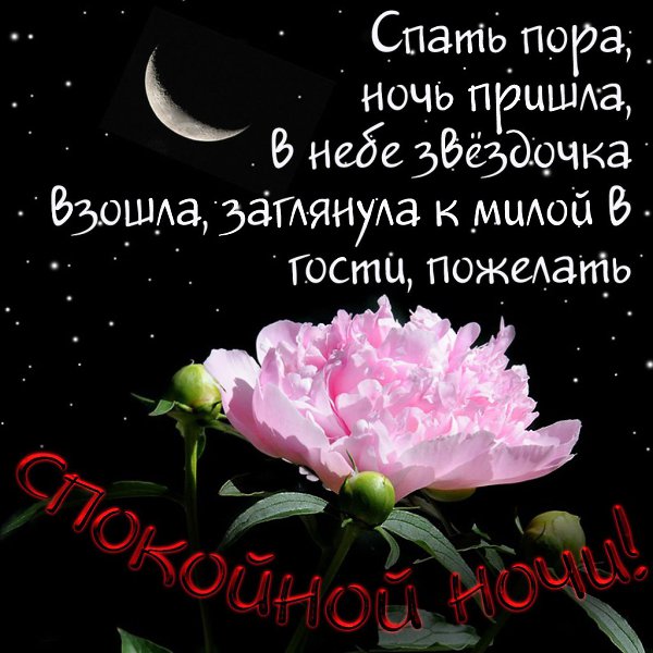   ,    . - 19  2020  21:29
