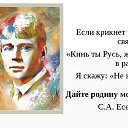 ���� �����, ���������� �����, 40 ��� - ��������� 19 ������ 2020 � ������ ���� ����������