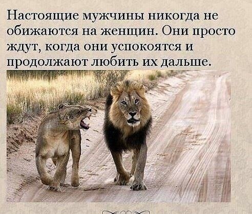 ����� - 1 ������ 2020 � 18:14