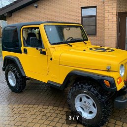 �������, ���������, 62 ����