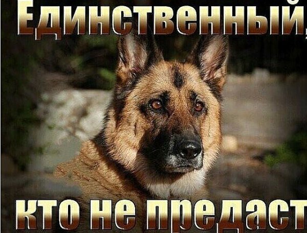 ������ - 16 ������� 2020 � 19:56