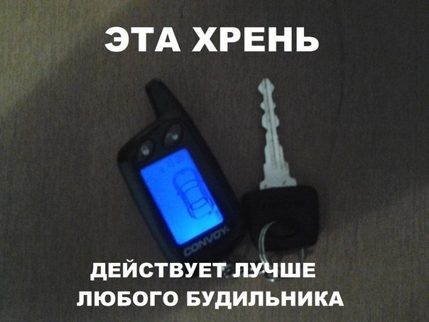   - 8  2021  16:10