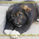 ���� Kotofey, ���� - ��������� 10 ������ 2020 � ������ ���� ����������