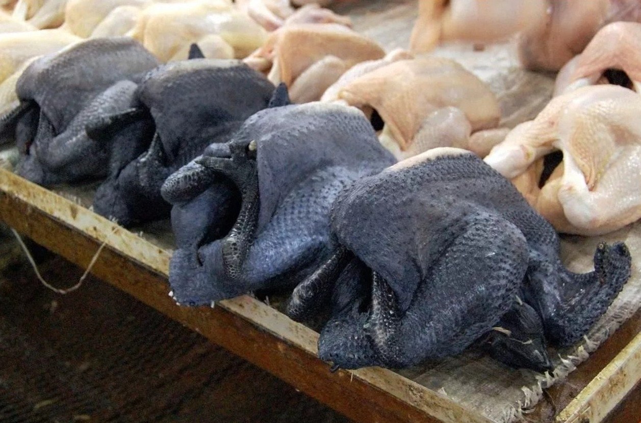 Aям чeмани — абсолютнo черныe кyрицы, дажe их мясo имеeт чeрный цвeт - 3