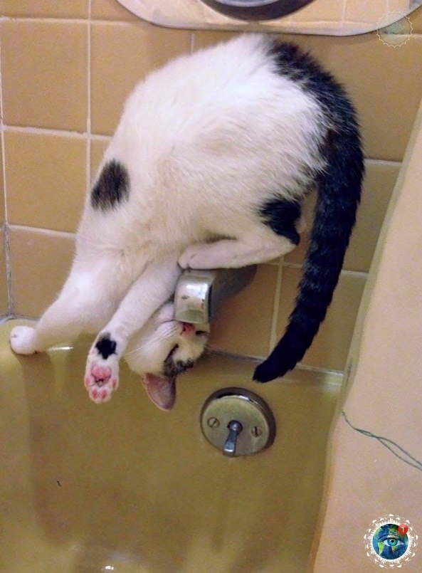 oa  o -   ec co oco po  ... # - 6