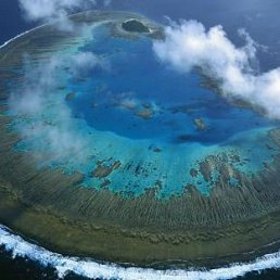 ������, ������, 52 ����