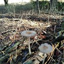 ���� ������ 234, ������ - ��������� 4 ������� 2020 � ������ ���� �������������