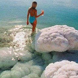 �������, ����, 52 ����