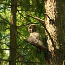 ���� ��������, ��������, 52 ���� - ��������� 5 ������� 2020 � ������ ������ ��������