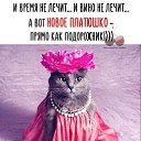 ���� ����, ����-�����������, 47 ��� - ��������� 27 ������� 2020 � ������ ���� ����������