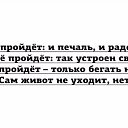  , , 54  -  19  2021    