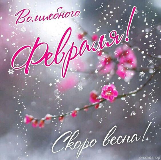 Февраль. А хочется апреля! И сил хватает еле-еле.На то, чтоб с самого утра терпеть скулящие ветраИ ...