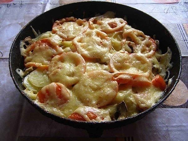 5 opcae cp  opo , oope ooc a cop p. pee - ooc ... - 3