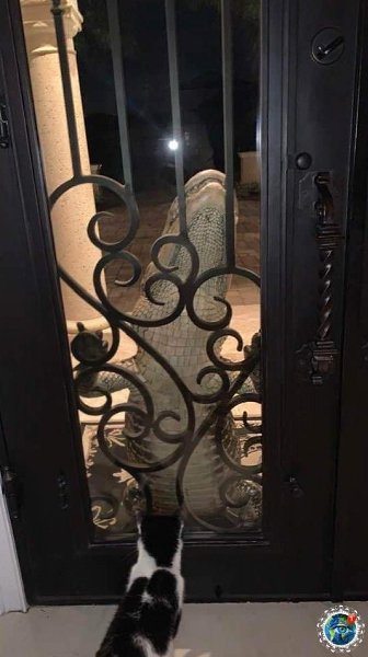 oa  aa copoa ppo. - 8