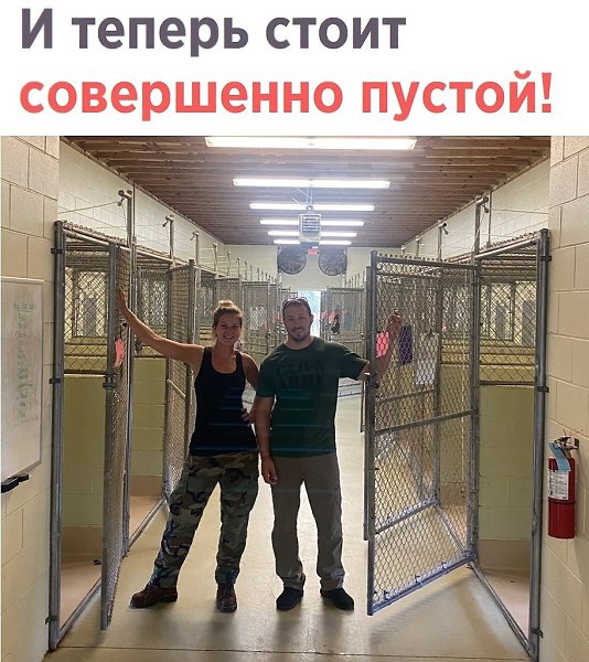       - 2