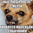 ���� Mielena, ������ - ��������� 23 ������� 2020 � ������ ������ ��������