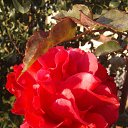 ���� Denis, �������� - ��������� 6 ������ 2020 � ������ ������ - ���� ))�