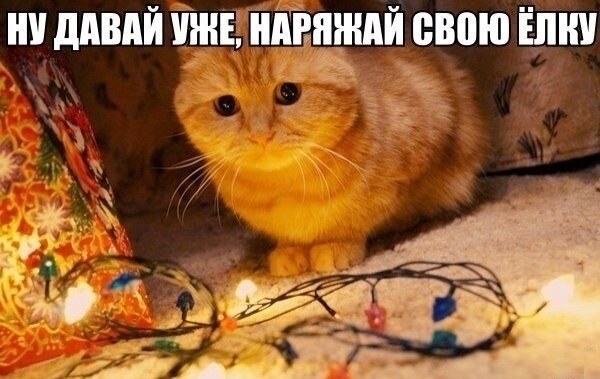    - 24  2020  19:09