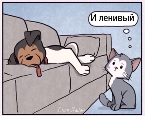 Примерно так женщины выбирают себе мужей - 2