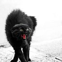 ���� Daniel, �����, 56 ��� - ��������� 28 ������� 2021 � ������ ���� ����������