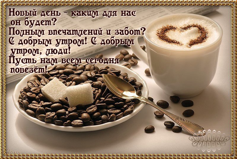   ,    . - 28  2020  14:11 - 8