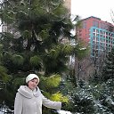 ���� �����, ������, 55 ��� - ��������� 27 ������� 2020 � ������ ���� ����������