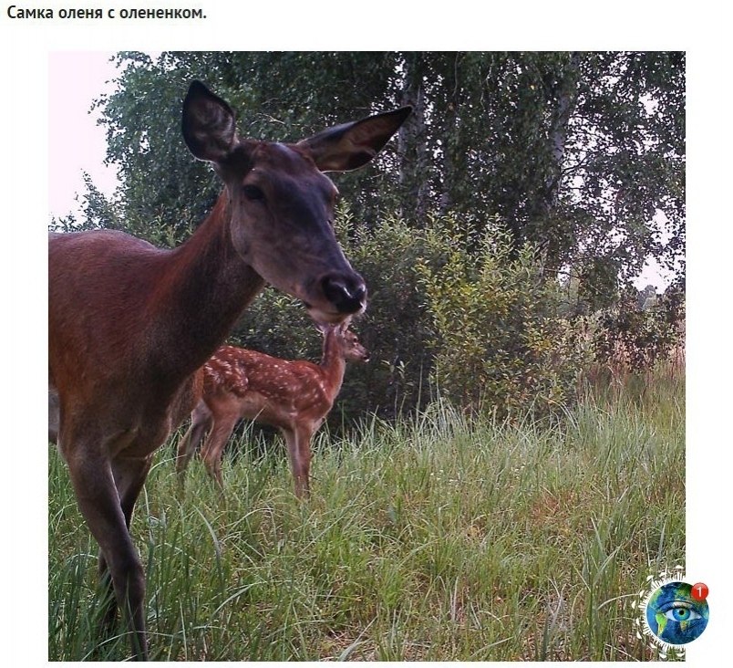  poco cao ooo oe epo. aepa acpoaa eepooe.  - 6