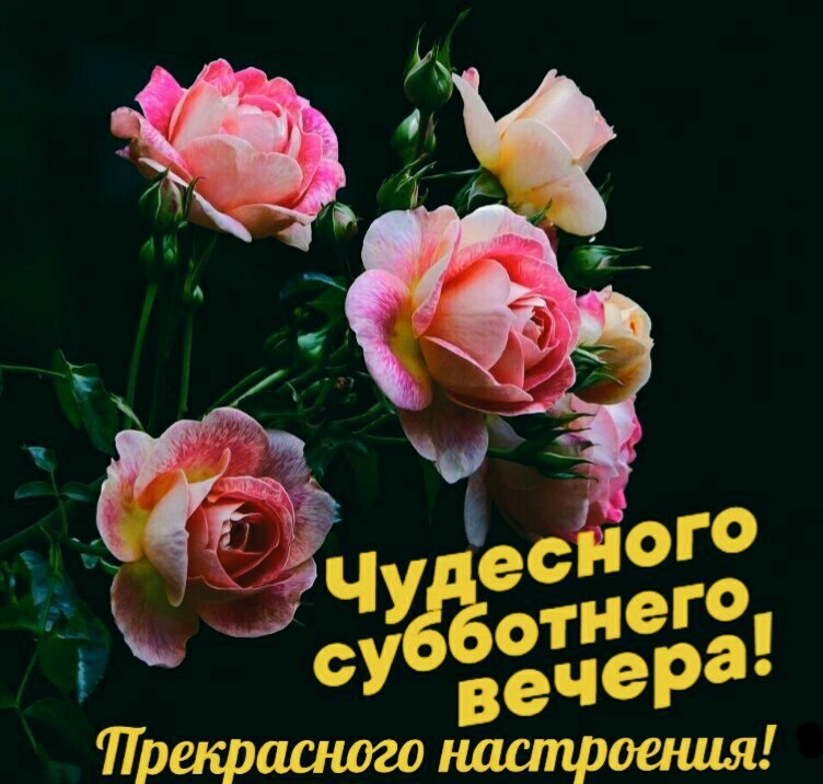   ,    . - 29  2020  18:04 - 7