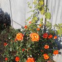 ���� Denis, �������� - ��������� 6 ������ 2020 � ������ ������ - ���� ))�