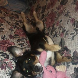 ���� ���������, ���������, 59 ��� - ��������� 27 �������� 2020