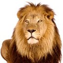 ���� V/a., ���-���� - ��������� 13 ������� 2020 � ������ ������ ��������