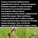 ���� "���������", �����, 53 ���� - ��������� 17 �������� 2020 � ������ ������ ��������