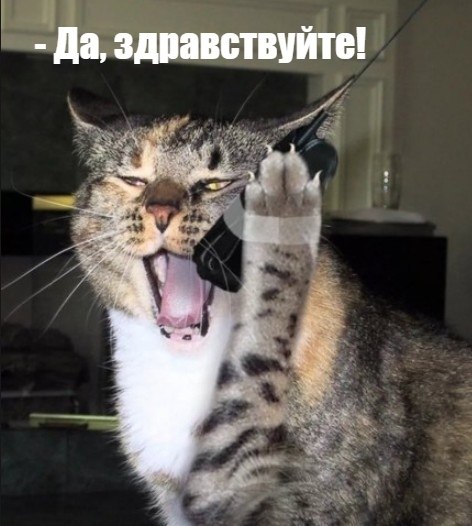       - 13  2020  14:49 - 2